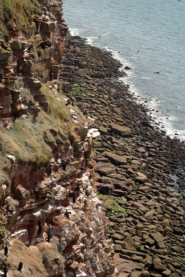 Cliffs at St Bees 07