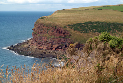 Cliffs at St Bees 09