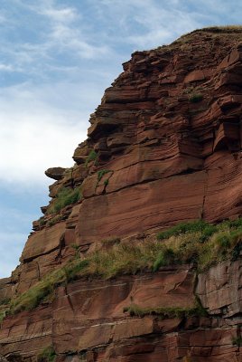 Cliffs at St Bees 10