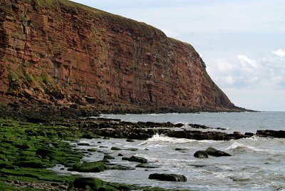 Cliffs at St Bees 12