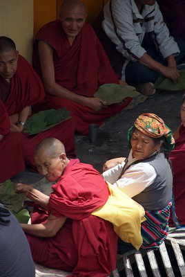 Food for Tibetan Refugees Dharamsala 07