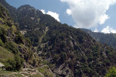 Along the Path to Triund 02