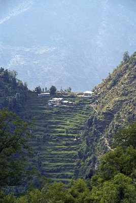 Houses Above Terraces