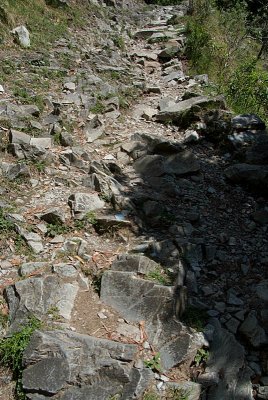 Rocky Path - Trek to Triund