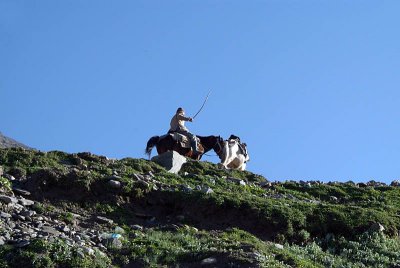 015 Driving Horses Rhotang Pass