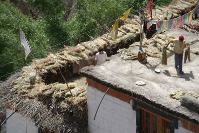 Drying Crops on the Roof Dhankar