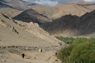 Scenery Around Leh