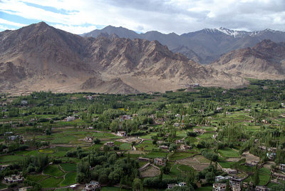 View Across Leh from the Palace