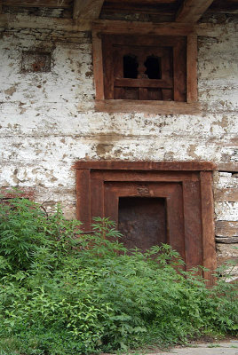 Door Obscured by Cannibis Old Manali