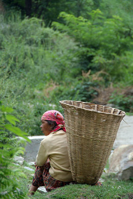 Field Worker Taking a Rest Manali 02