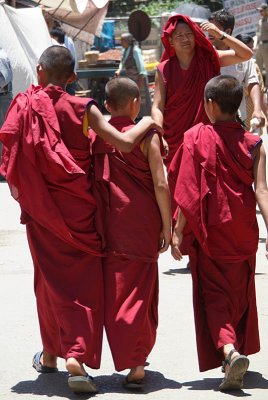 Young Monks Walking