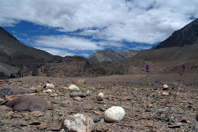 Scenery Along Zanskar Valley