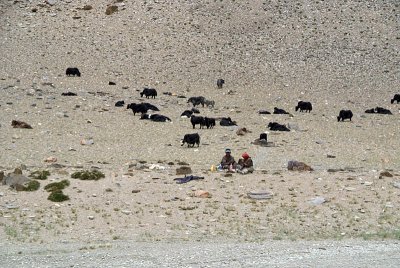 084 Yak Herders by the Road
