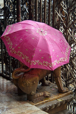 Fu with Pink Umbrella at Janabaha