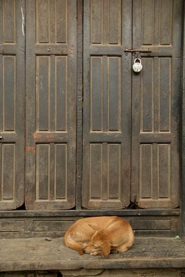 Sleeping Dog and Locked Door