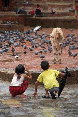 Children Teasing Cow in Durbar Square