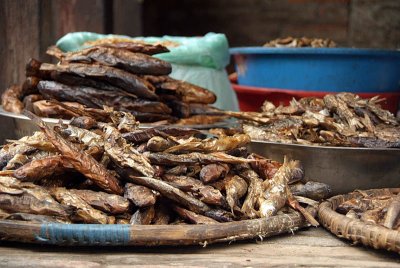 Dried Fish for Sale Durbar Square