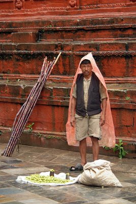 Gooseberry Seller in Durbar Sqare