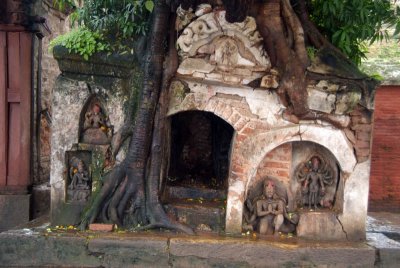 Shrine in Tree Roots Durbar Square