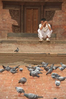 Watching the Pigeons Durbar Square