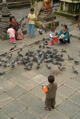 Feeding the Pigeons at Kathesimbhu