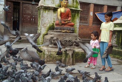 Feeding the Pigeons at Kathesimbhu 02