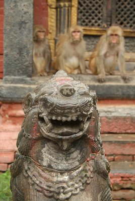 Stone Fu with Monkeys Behind Pashupatinath