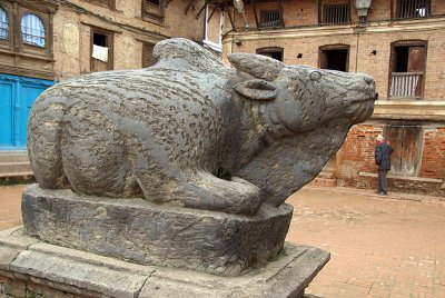 Large Stone Nandi Durbar Square Patan