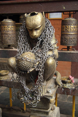 Monkey in Chains Golden Temple Patan
