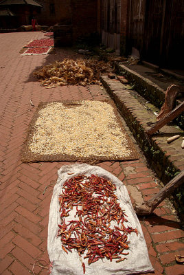 Chilies Drying in Sun Bhaktapur
