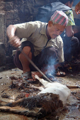 Cleaning Sacrificed Goat Dakshinkali 03