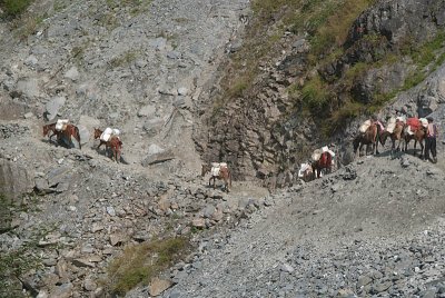 Mules Crossing Landslide near Birethanti
