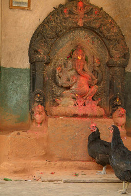 Chickens at Ganesha Shrine