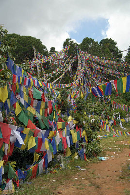 Prayer Flags above Monastery Pharping 02