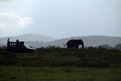 Elephant and Jeep Silhouettes