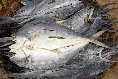Fish Drying in a Basket