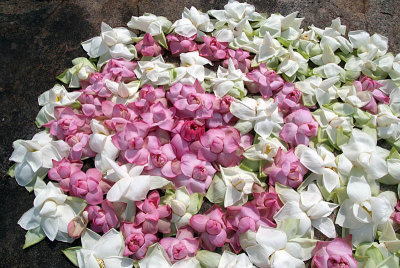 Pink and White Flower Offerings
