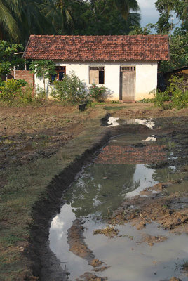 House by a Paddy Field Sigriya