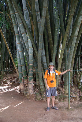 Chris Dwarfed by Giant Bamboo