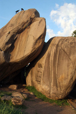 Goats on a Rock Mamallapuram
