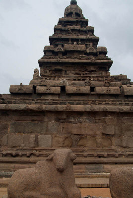 Nandi and Shore Temple