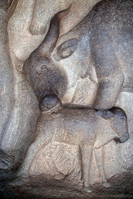 Stone Carving Cow Licking Calf