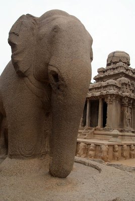 Stone Elephant at the Five Rathas