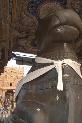 Nandi in Brihadeeswarar Temple