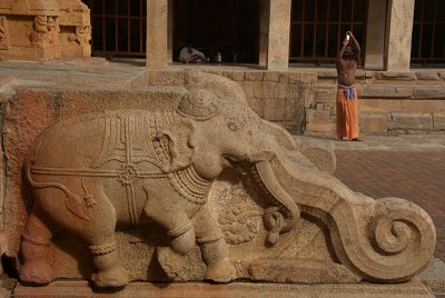 Carving of Elephant on side of Steps