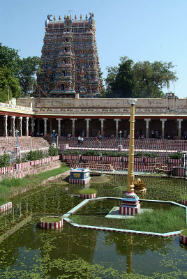 Golden Lotus Pond Meenakshi Temple