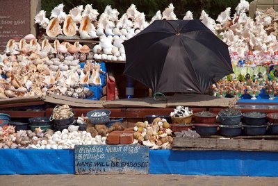 Shells for Sale Kanyakumari