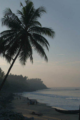 Palm Trees and Varkala Beach