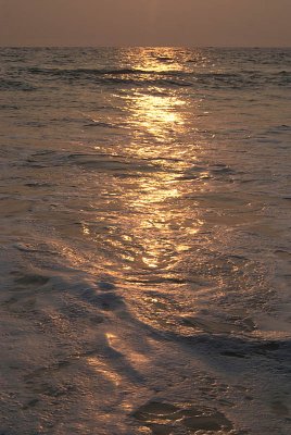 Frothing Sea at Sunset Varkala