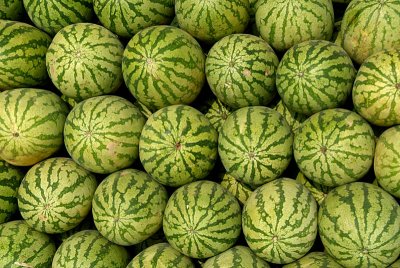 Stacked Watermelons for sale Belur